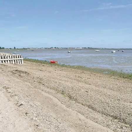 Amazing In * Quettehou